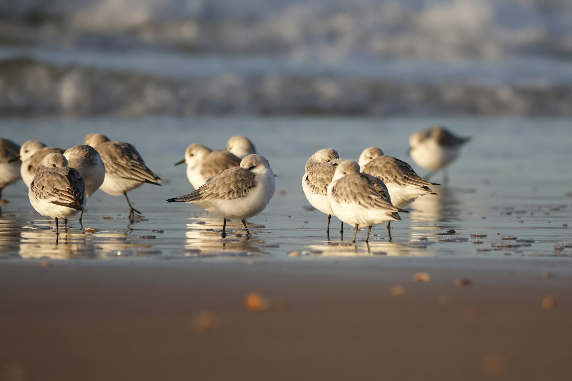 Hôtel pour groupe Berck Hauts-de-France