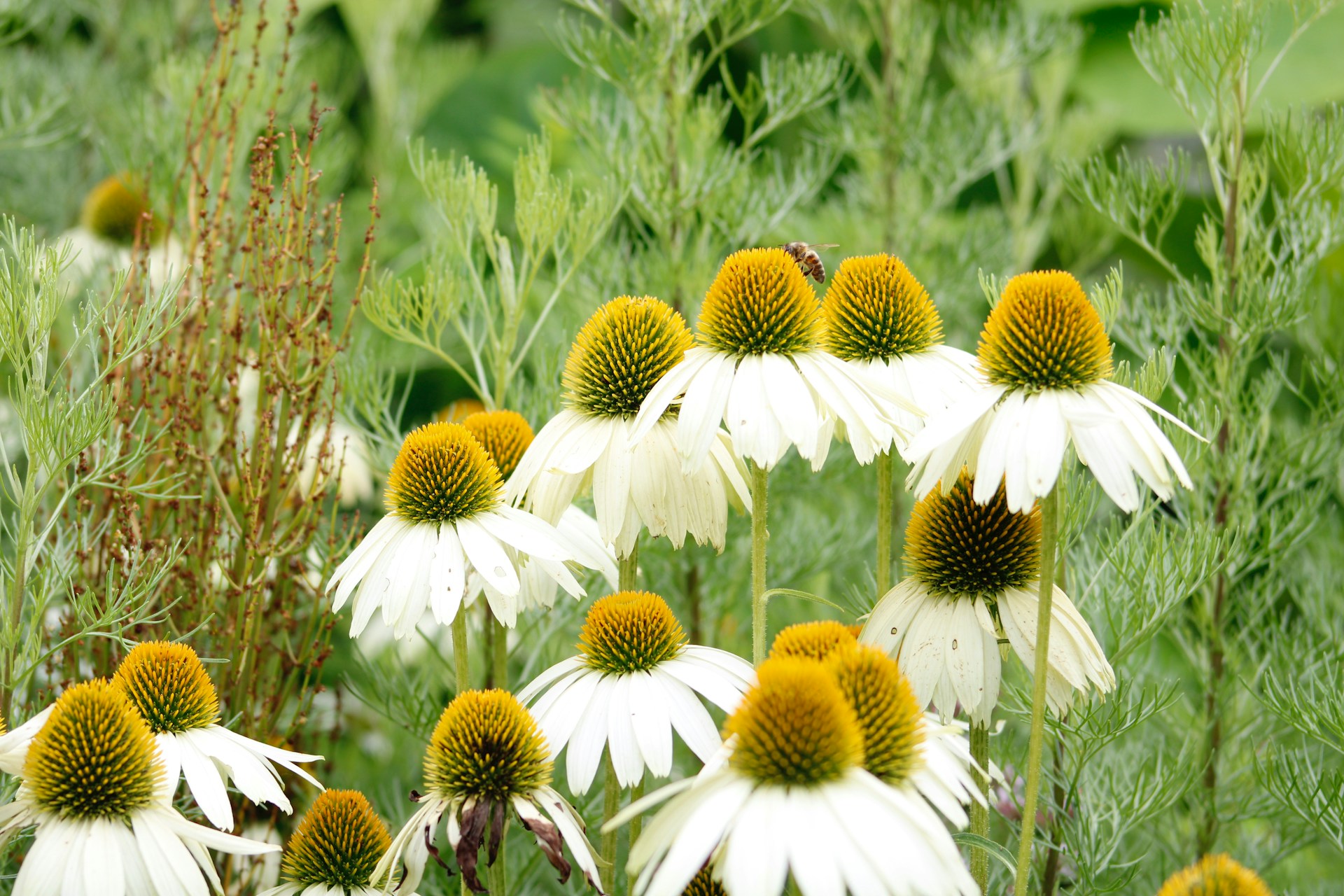Hôtel pour groupe Sedan Grand Est